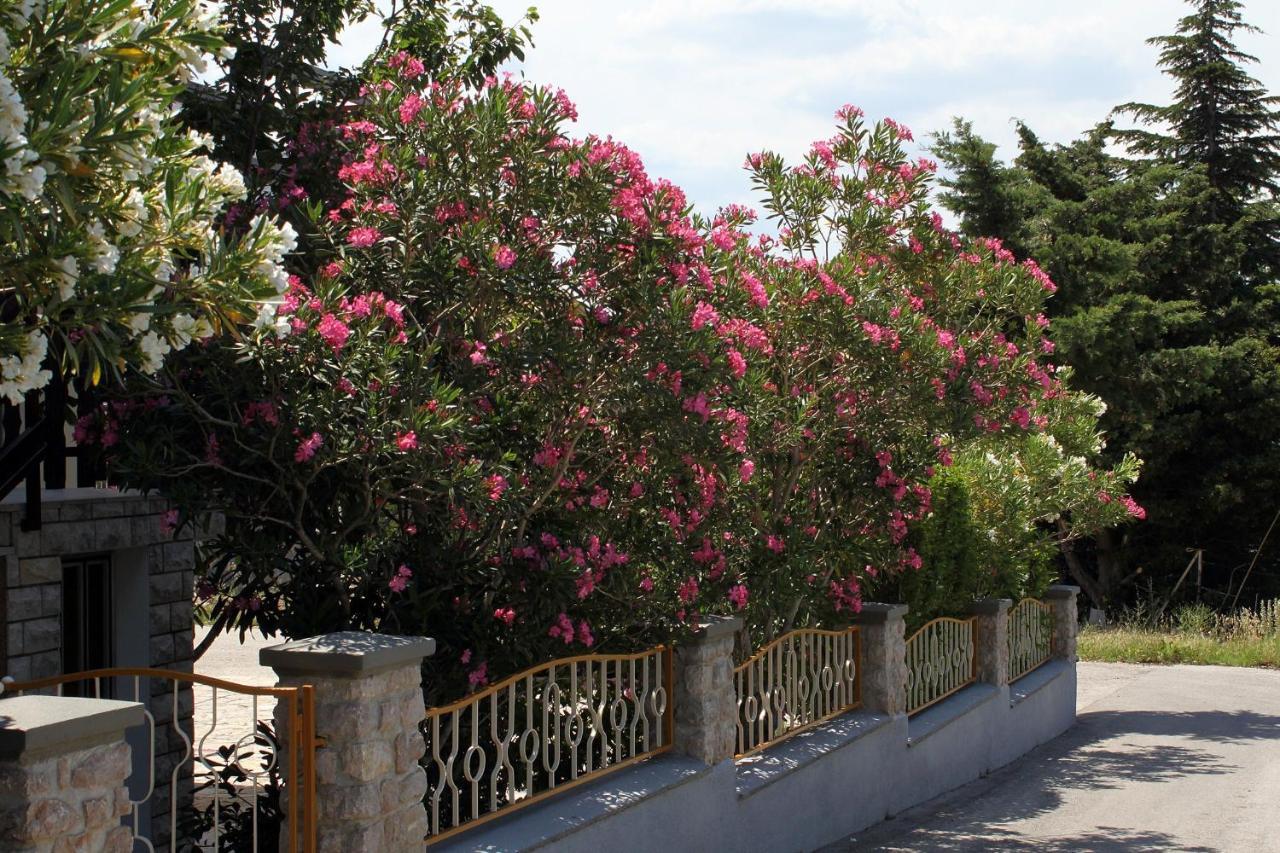 Apartments And Rooms By The Sea Starigrad, Paklenica - 6591 Exteriör bild